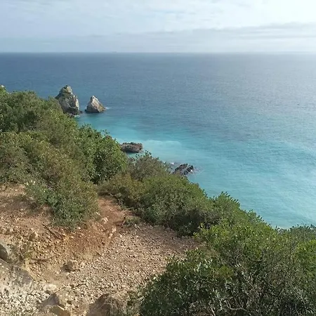 Moonlight Seaside Escape